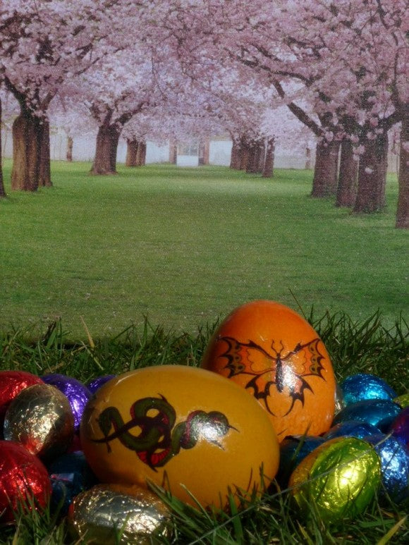 The Easter bunny hides Easter eggs in gardens