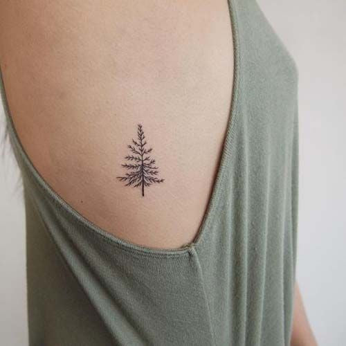 Small pine tree tattoo
